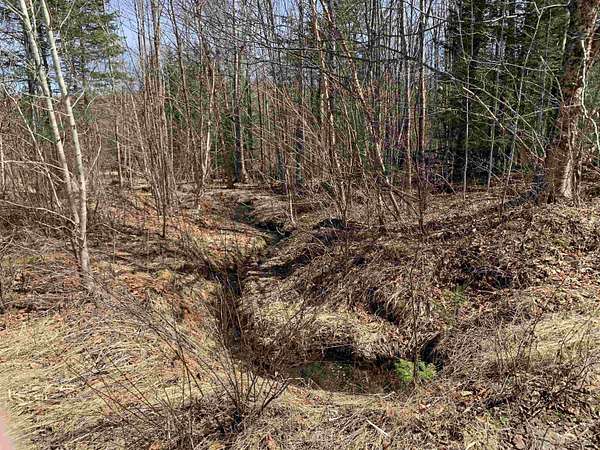 10.5 Acres of Recreational & Residential Land for Sale in Columbia, New Hampshire