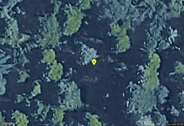 0.16 Acres of Residential Land for Sale in Cedarpines Park, California