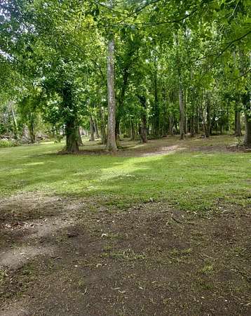 27 Acres of Recreational & Residential Land for Sale in Chauvin, Louisiana