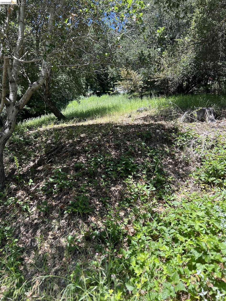 0.12 Acres of Land for Sale in Oakland, California