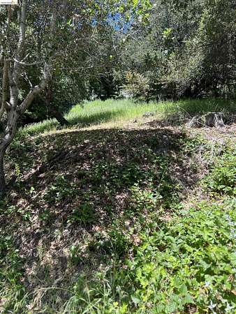 0.12 Acres of Land for Sale in Oakland, California
