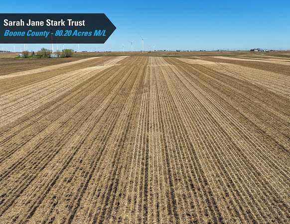 80.2 Acres of Agricultural Land for Auction in Ogden, Iowa