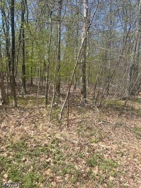 5.7 Acres of Residential Land for Sale in Wantage Township, New Jersey