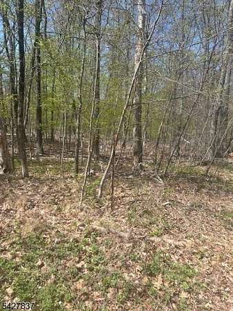 5.7 Acres of Residential Land for Sale in Wantage Township, New Jersey