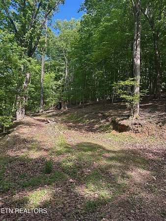 2.9 Acres of Residential Land for Sale in Caryville, Tennessee