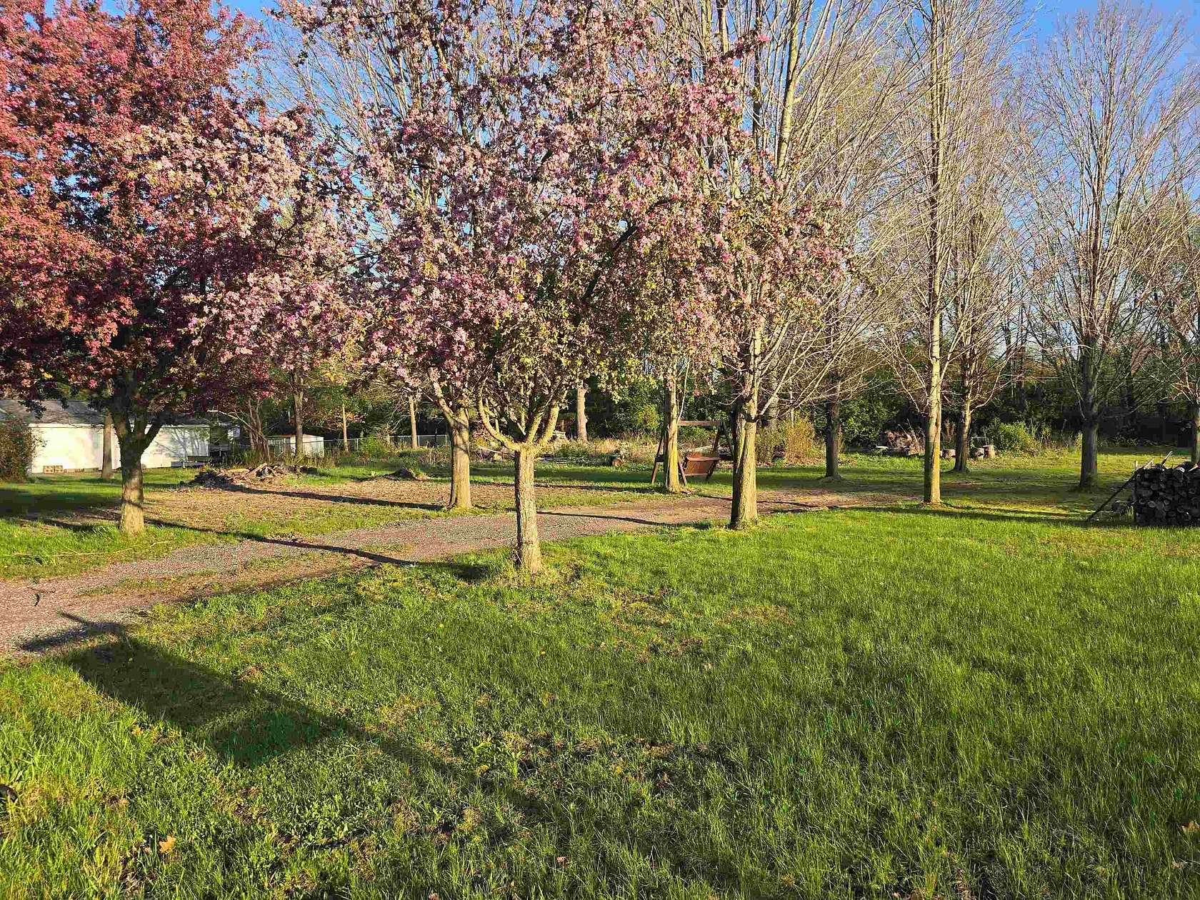 1 Acre of Residential Land for Sale in Laingsburg, Michigan