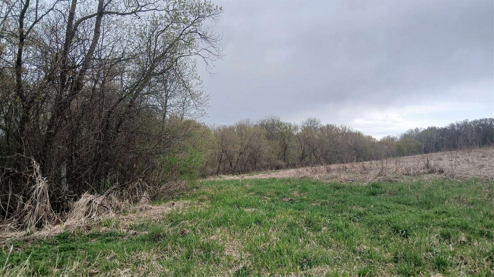 62.6 Acres of Land for Sale in Bloomer, Wisconsin