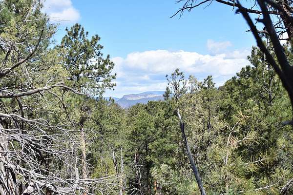 35.1 Acres of Land for Sale in Cotopaxi, Colorado