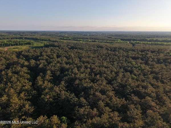 42.5 Acres of Recreational Land for Sale in Stewart, Mississippi