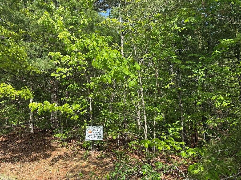 9.47 Acres of Residential Land for Sale in Blue Ridge, Georgia