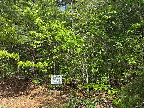 9.47 Acres of Residential Land for Sale in Blue Ridge, Georgia