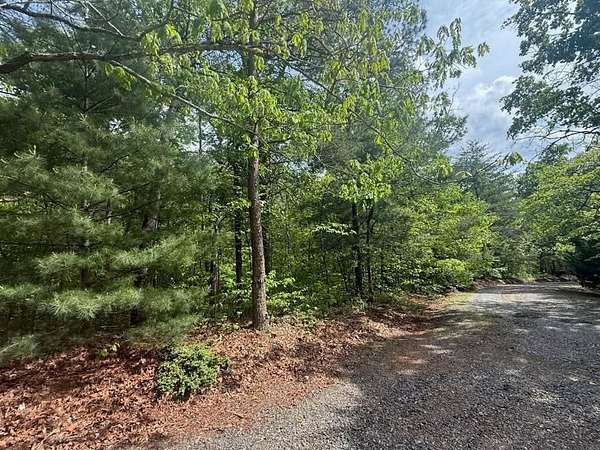9.47 Acres of Residential Land for Sale in Blue Ridge, Georgia