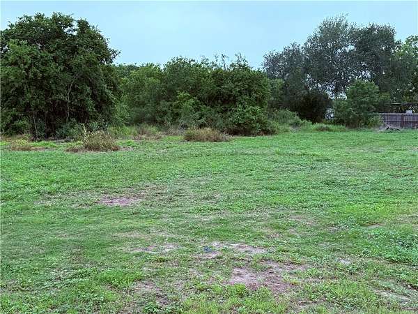 0.14 Acres of Residential Land for Sale in Alice, Texas