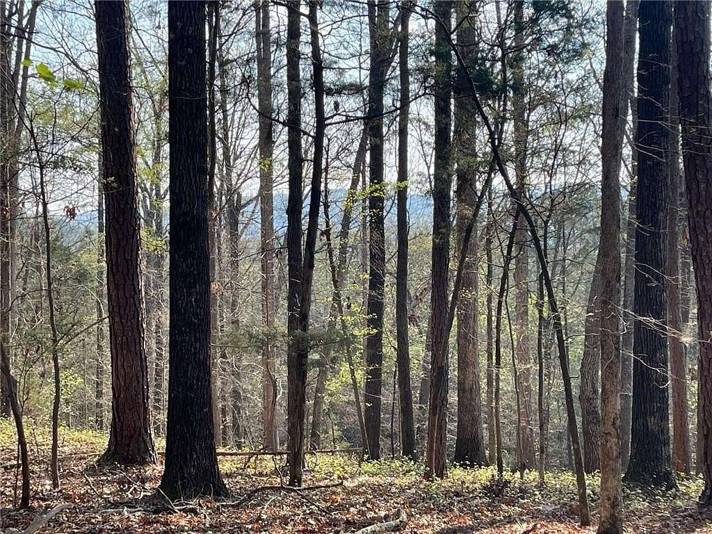 4.49 Acres of Residential Land for Sale in Cave Spring, Georgia