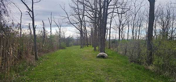 7 Acres of Land for Sale in Ovid, New York