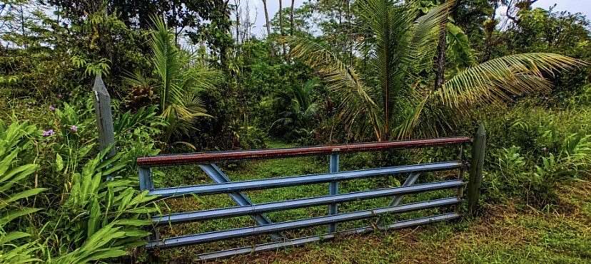 1 Acre of Land for Sale in Pahoa, Hawaii