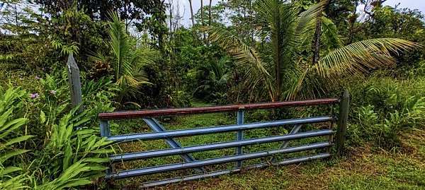 1 Acre of Land for Sale in Pahoa, Hawaii