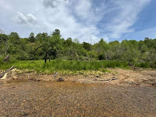 30 Acres of Improved Mixed-Use Land for Sale in Ellijay, Georgia