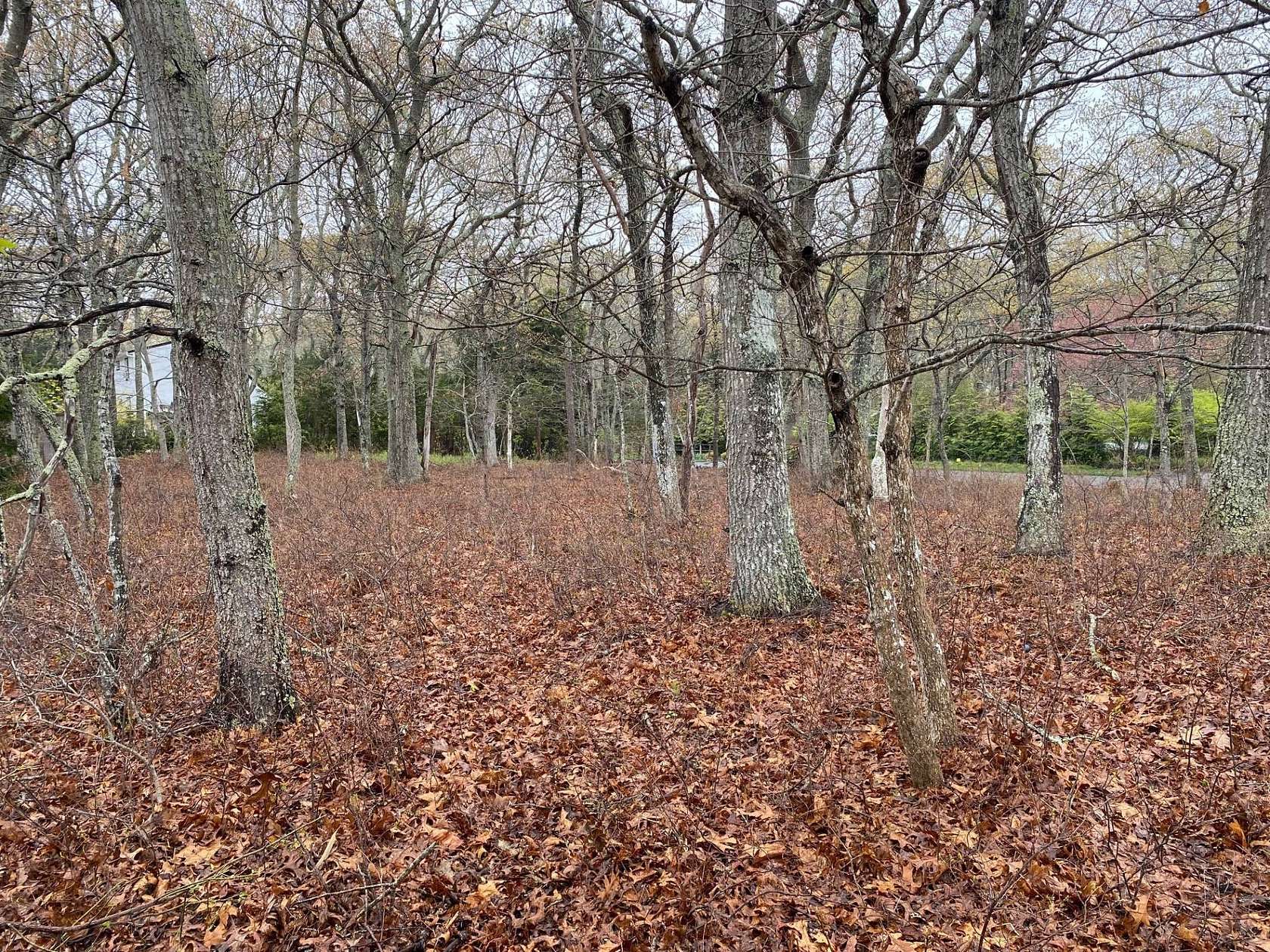 0.32 Acres of Residential Land for Sale in East Hampton, New York