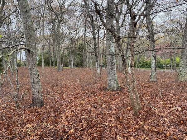 0.32 Acres of Residential Land for Sale in East Hampton, New York