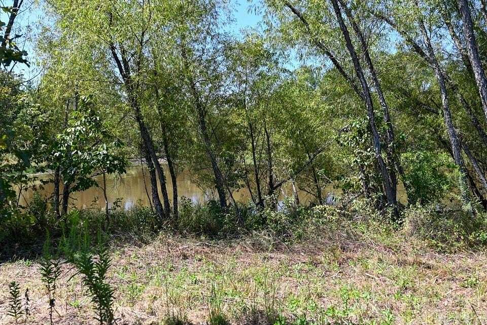 60.9 Acres of Recreational & Residential Land for Sale in Oden Township, Arkansas