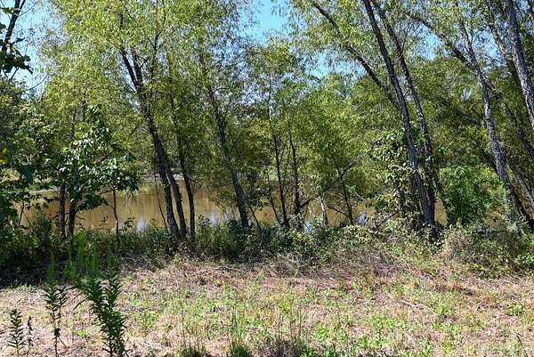 60.9 Acres of Recreational & Residential Land for Sale in Oden Township, Arkansas