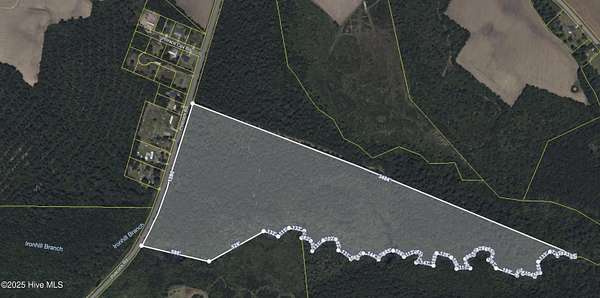50 Acres of Land for Sale in Tabor City, North Carolina