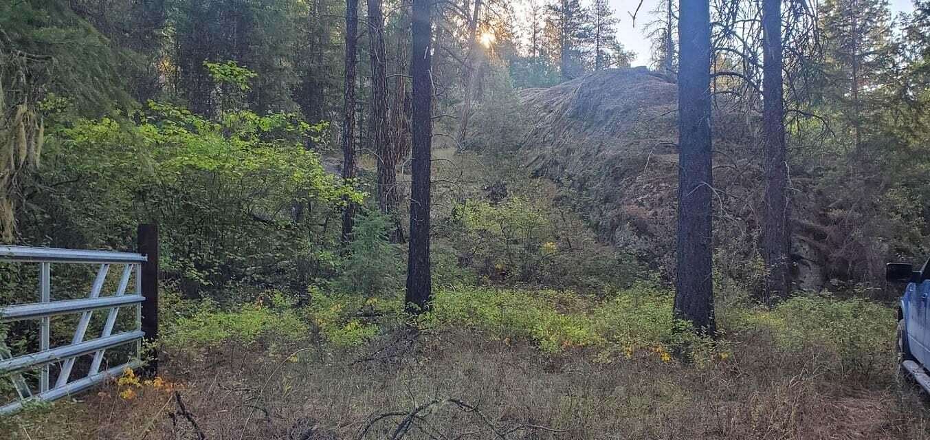 22 Acres of Land for Sale in Kettle Falls, Washington