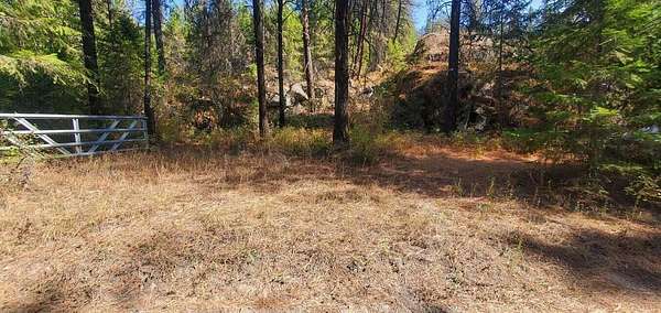 22 Acres of Land for Sale in Kettle Falls, Washington