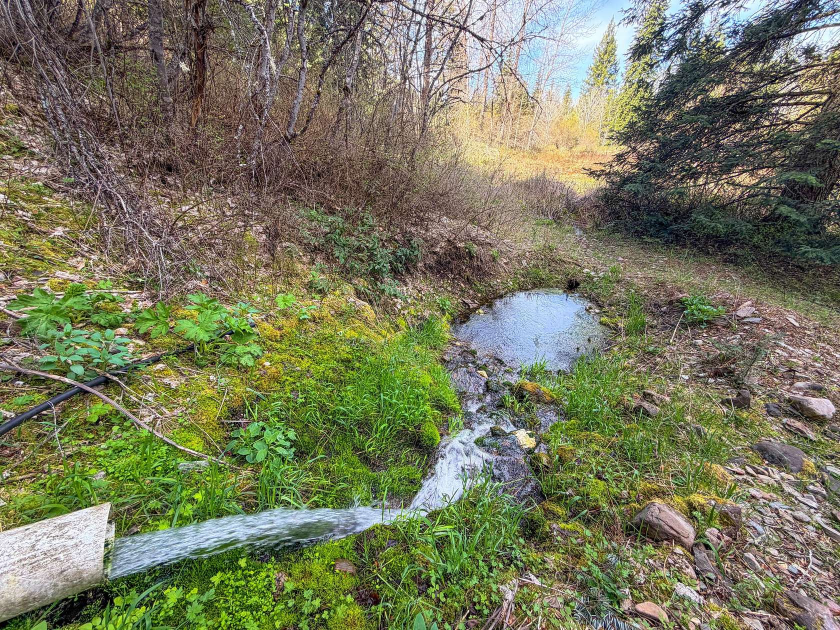 19.3 Acres of Land with Home for Sale in Loon Lake, Washington