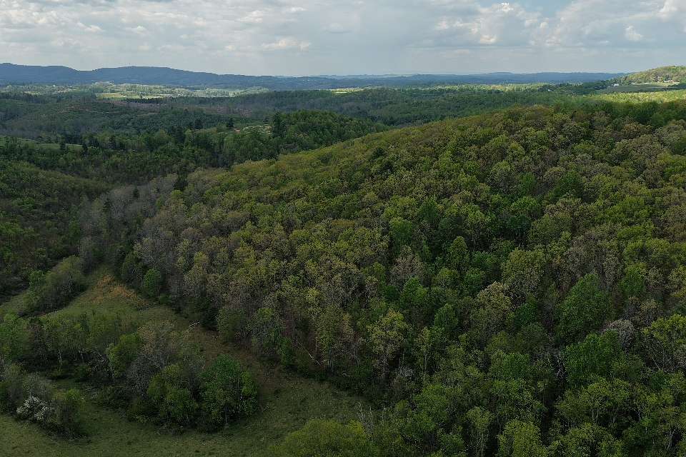 34.8 Acres of Land for Auction in Floyd, Virginia