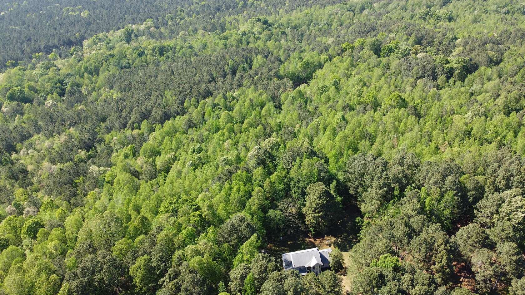 21 Acres of Land for Sale in Nashville, North Carolina
