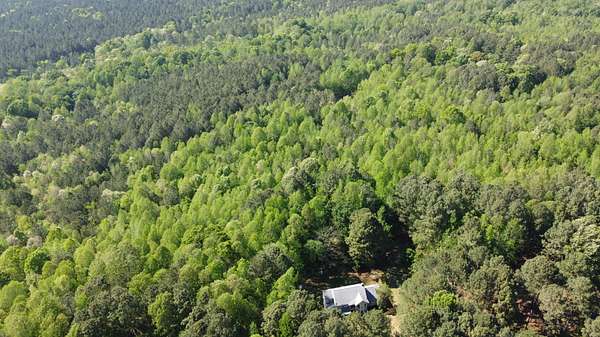 21 Acres of Land for Sale in Nashville, North Carolina