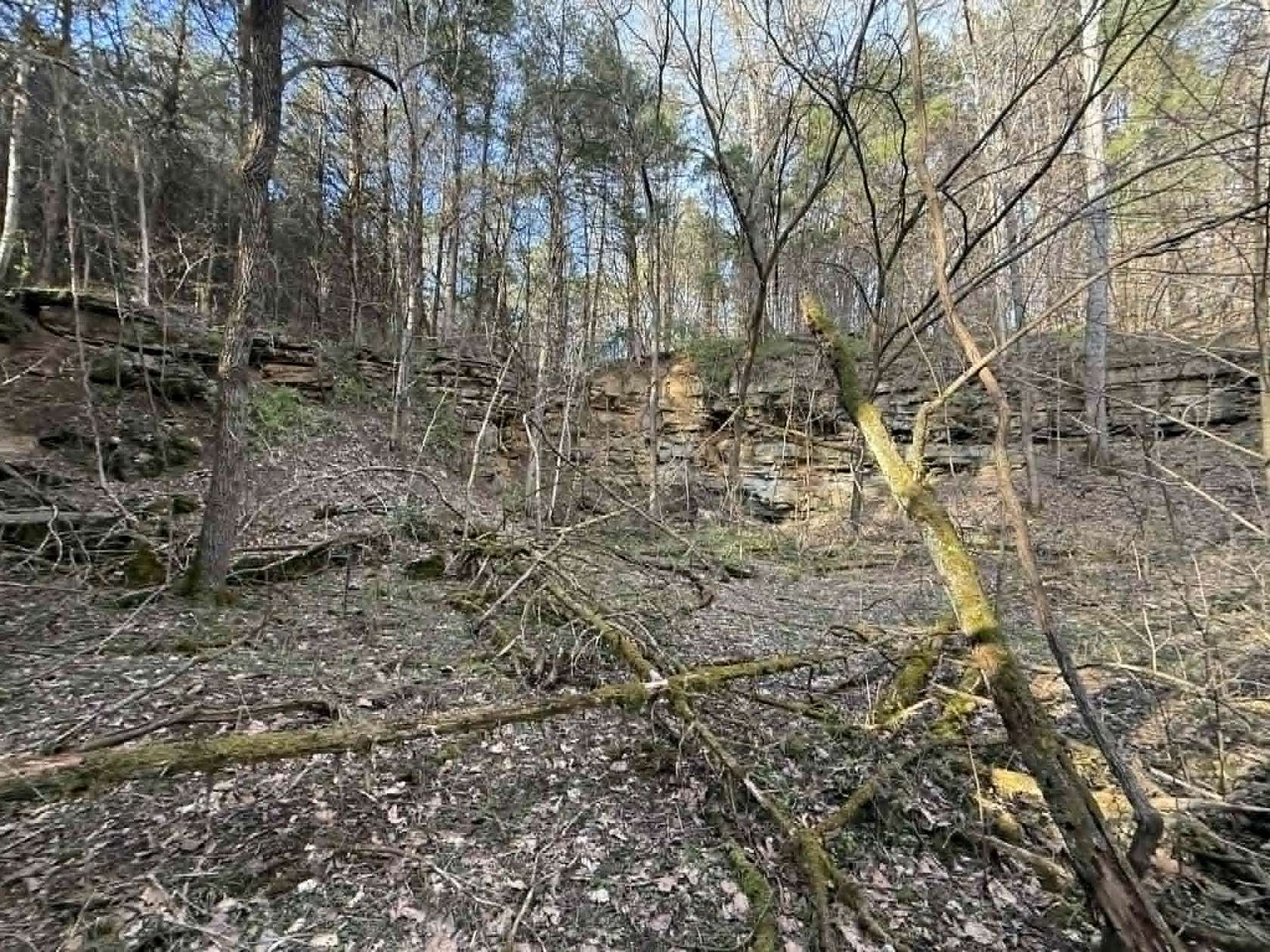 5 Acres of Land for Sale in Albany, Kentucky