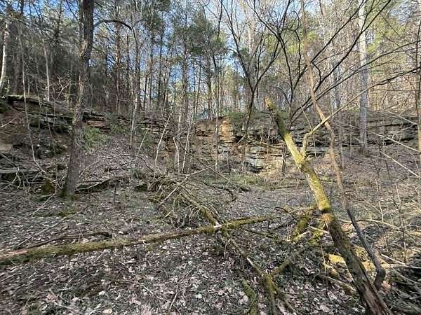 5 Acres of Land for Sale in Albany, Kentucky