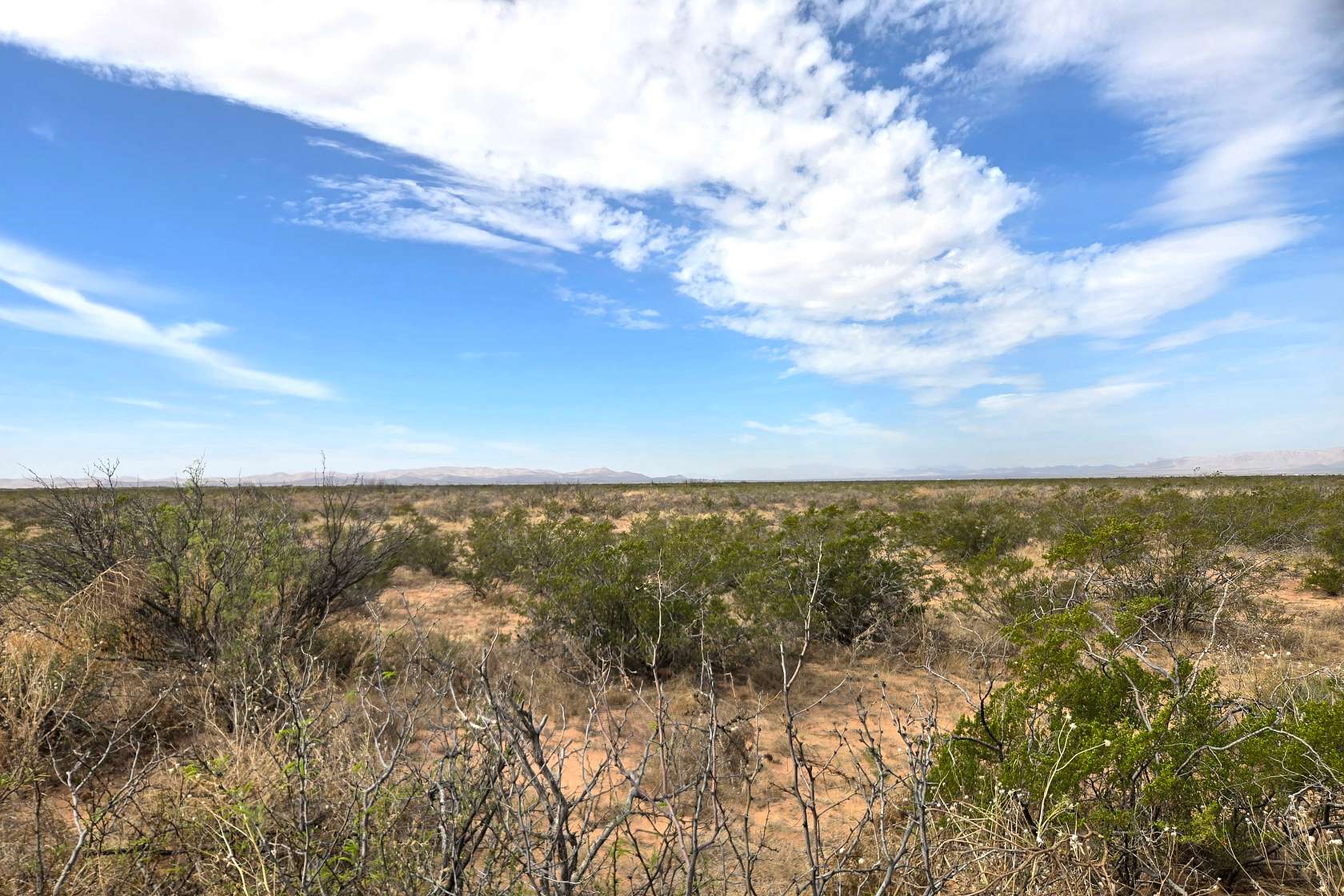 11.8 Acres of Recreational & Residential Land for Sale in Van Horn, Texas