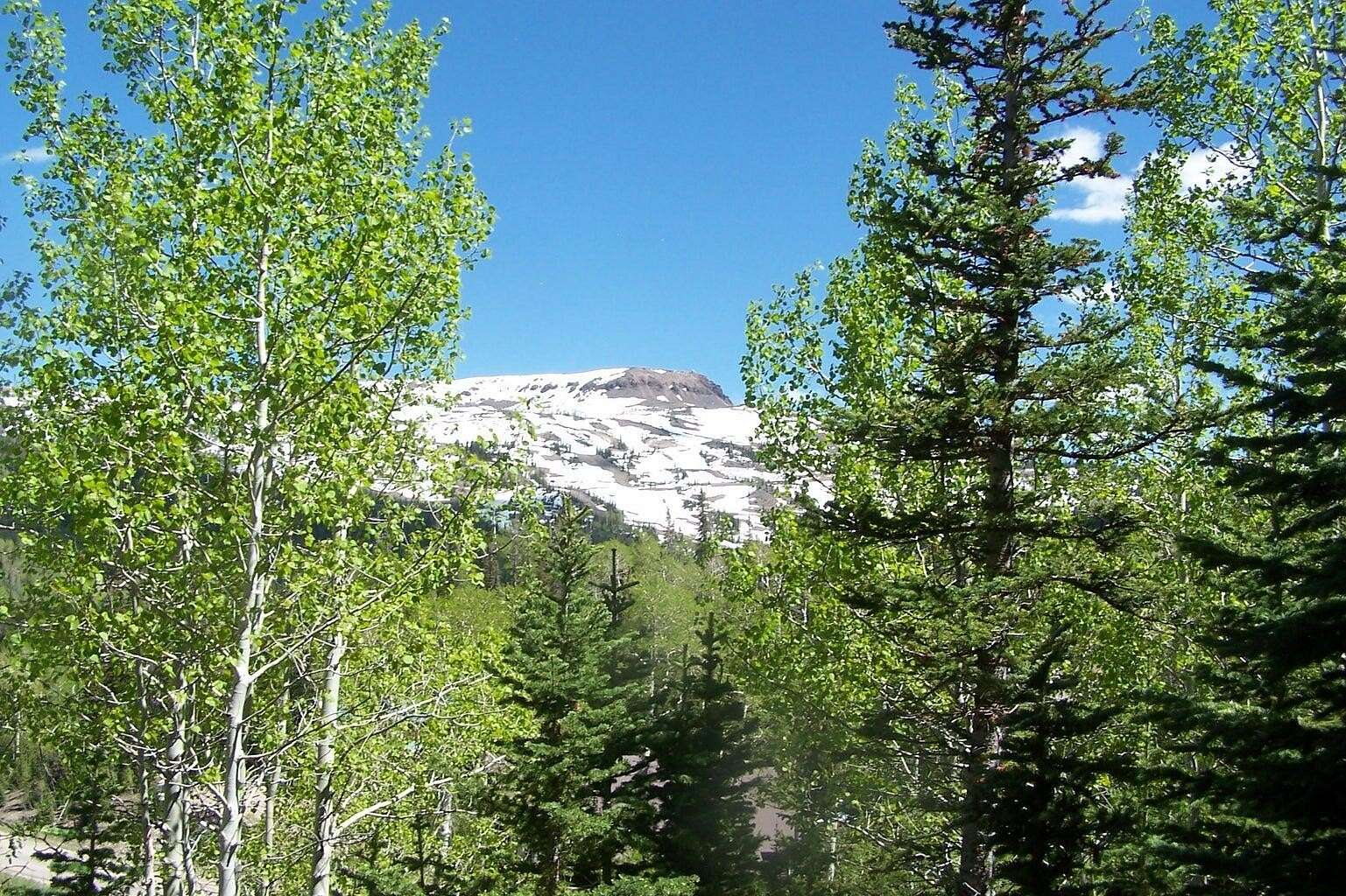 4.8 Acres of Residential Land for Sale in Brian Head, Utah