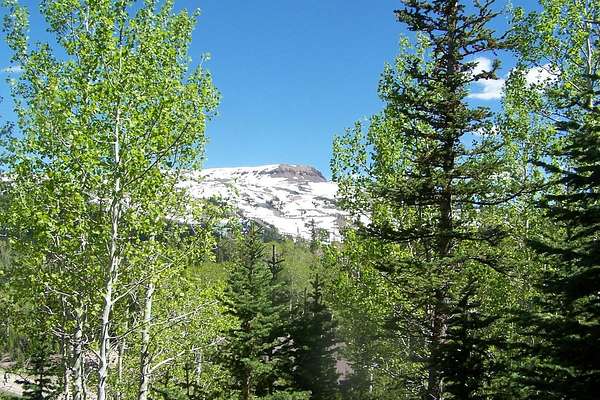 4.8 Acres of Residential Land for Sale in Brian Head, Utah