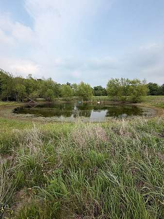 16.3 Acres of Land for Sale in Hubbard, Texas
