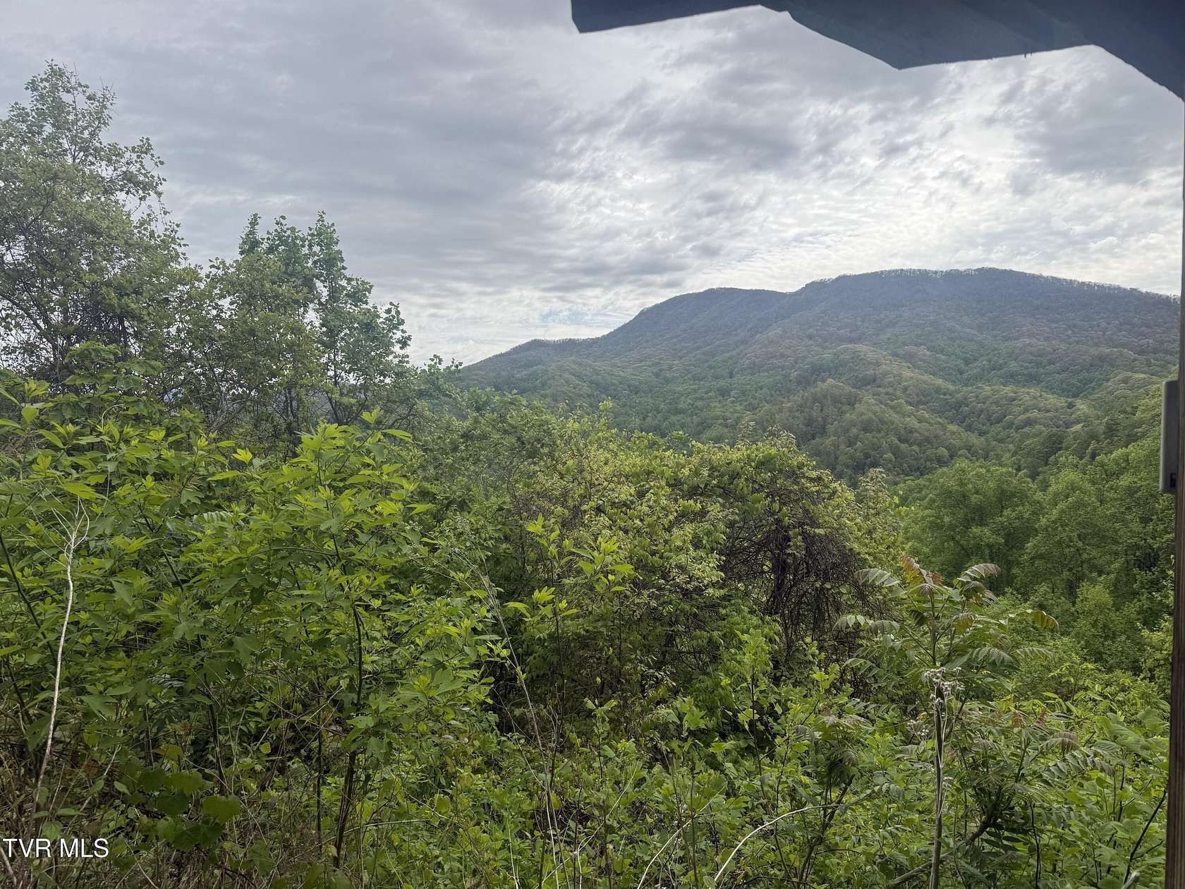 28.3 Acres of Recreational Land for Sale in Roan Mountain, Tennessee