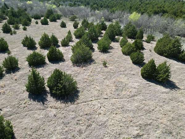 82 Acres of Recreational & Residential Land for Sale in Bailey, Texas