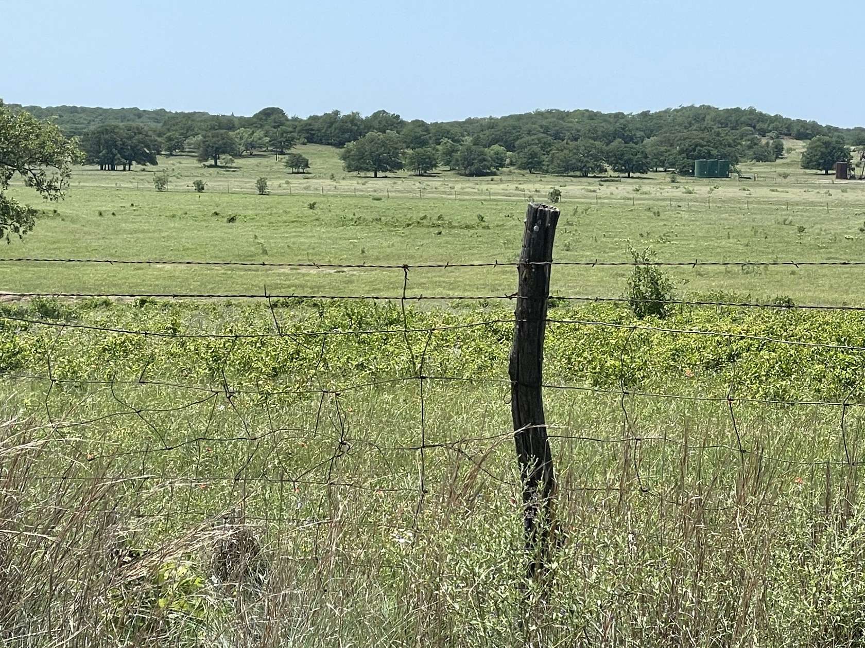 127 Acres of Agricultural Land for Sale in Bowie, Texas