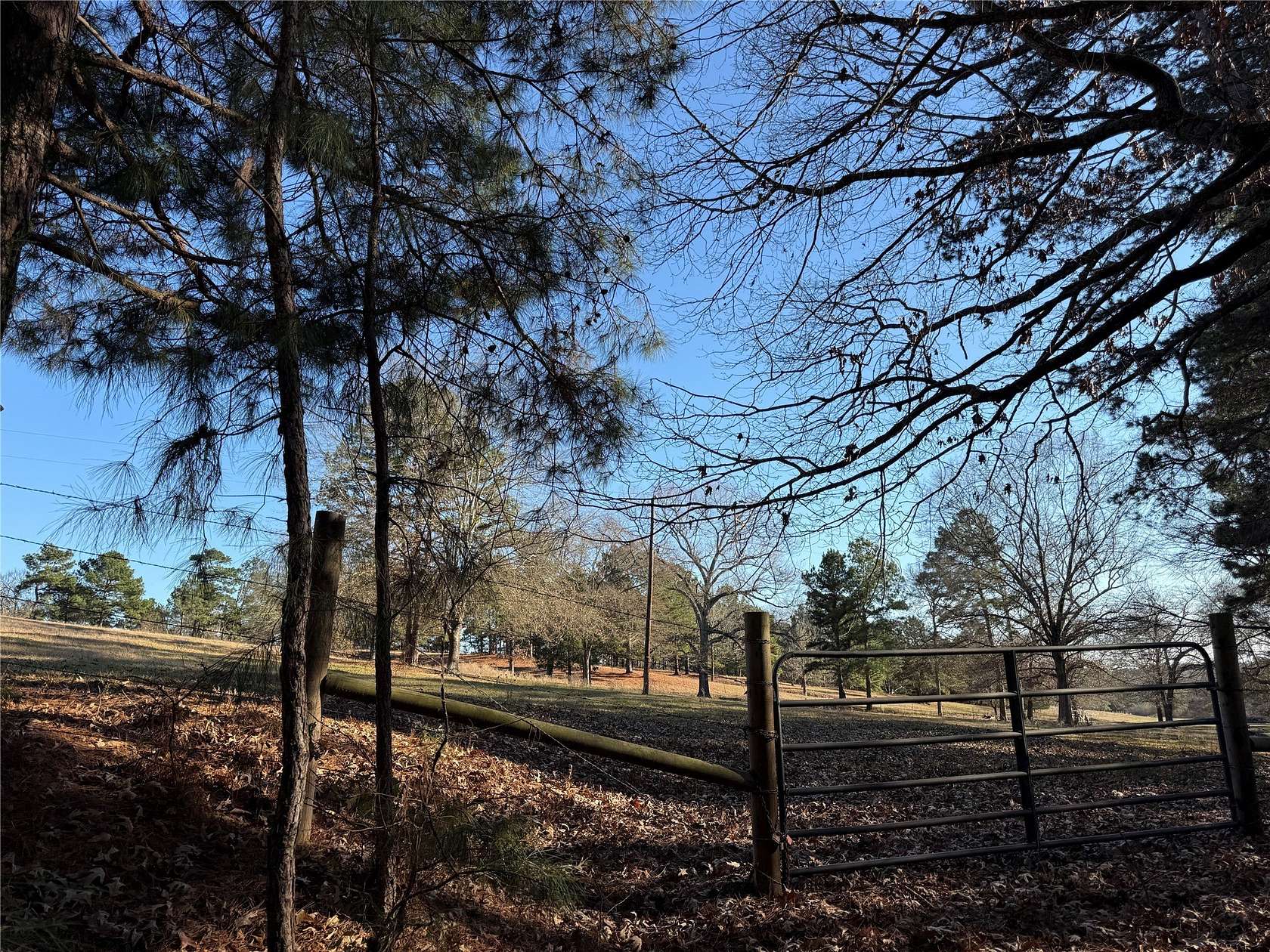 9.56 Acres of Land for Sale in Tyler, Texas