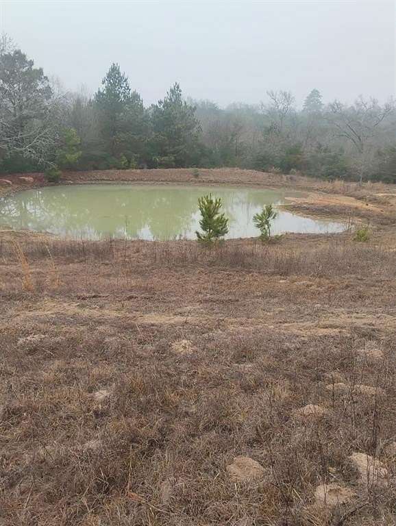 78 Acres of Recreational Land for Sale in Centerville, Texas