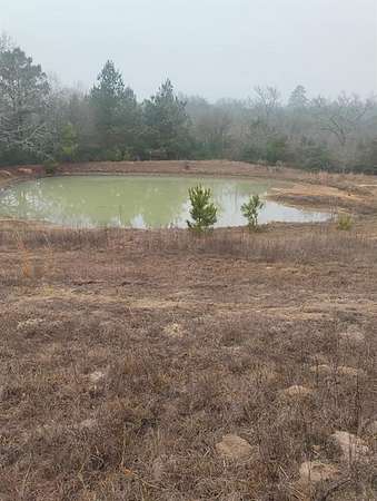 78 Acres of Recreational Land for Sale in Centerville, Texas