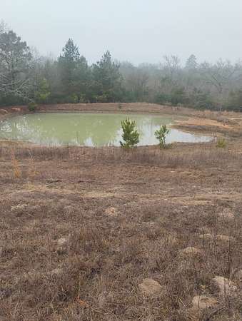 78 Acres of Recreational Land for Sale in Centerville, Texas