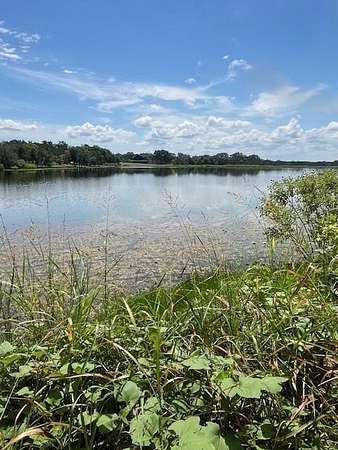 1 Acre of Residential Land for Sale in Bluff Dale, Texas