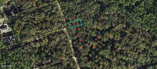 0.12 Acres of Residential Land for Sale in Crawfordville, Florida