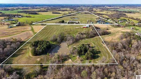 29 Acres of Land for Auction in Fancy Farm, Kentucky