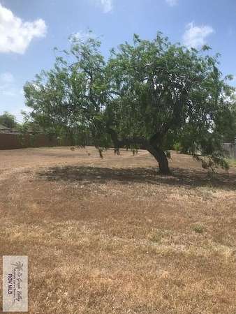 0.29 Acres of Land for Sale in Laguna Vista, Texas